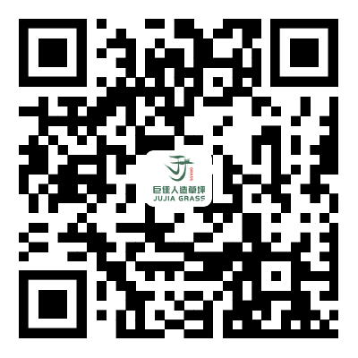 扫描查看手机网站